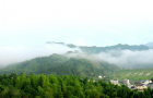 “抹茶全產業(yè)鏈關鍵技術與裝備創(chuàng)新及應用”項目科技成果評價會召開